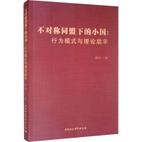 醉染图书不对称同盟下的小国:行为模式与理论启示9787520384643