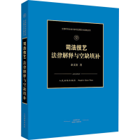 醉染图书司法技艺 法律解释与空缺填补9787510929571