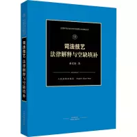 醉染图书司法技艺 法律解释与空缺填补9787510929571