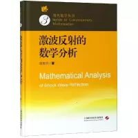 醉染图书激波反的数学分析9787547840160