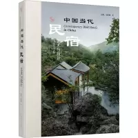 醉染图书中国当代民宿 艺术与设计9787559124647