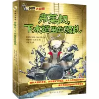 醉染图书弗莱切,下水道里的9787553519067