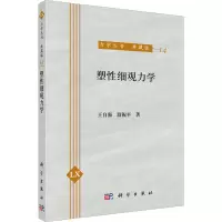 醉染图书塑细观力学 典藏版9787030041906
