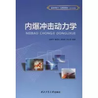 醉染图书内爆冲击动力学978756110