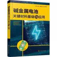 醉染图书碱金属电池关键材料基础与应用9787124774