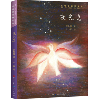 醉染图书夜光鸟9787501617074