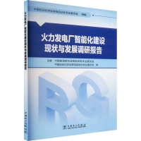 醉染图书火力发电厂智能化建设现状与发展调研报告9787519869885