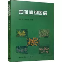 醉染图书地被植物图谱9787112086825