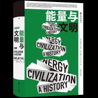 醉染图书能量与文明9787510895401