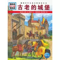 醉染图书古老的城堡9787535155474