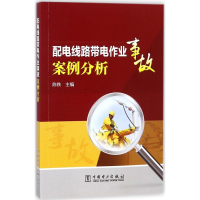 醉染图书配电线路带电作业事故案例分析9787519811327