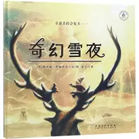 醉染图书奇幻雪夜9787539880198