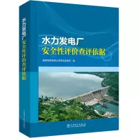 醉染图书水力发电厂安全评查评依据9787519832766