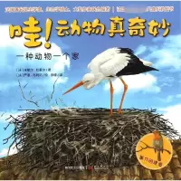 醉染图书一种动物一个家/动物真奇妙9787541141386