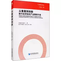 醉染图书从集聚到创新 新兴经济体的产业集群升级9787509677346
