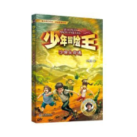 醉染图书少年冒险王·沙坡头奇遇(升级版)9787550518025