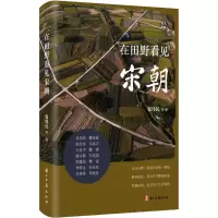 醉染图书在田野看见宋朝9787554018