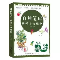 醉染图书自然笔记——解码身边植物9787571215934