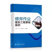 醉染图书修井作业复杂工程事故案例9787511468406