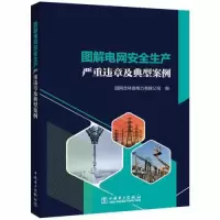 醉染图书图解电网安全生产严重违章及典型案例9787519873066