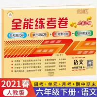 醉染图书全能练考卷 语文 6年级 下册 RJ9787534889707
