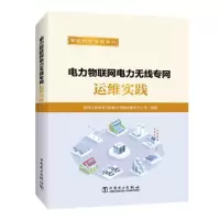 醉染图书电力物联网电力无线专网运维实践9787519872120