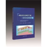 醉染图书阿姆河右岸典型气藏高效开发实践9787518349111
