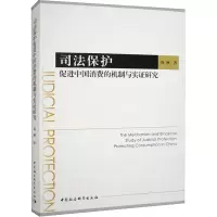 醉染图书司法保护促进中国消费的机制与实研究9787522715193