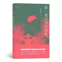 醉染图书摸一摸闪电的滋味9787541157356