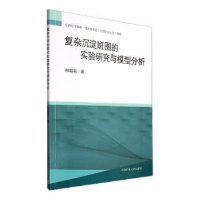 醉染图书复杂沉淀斑图的实验研究与模型分析9787564654108