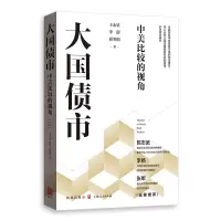 醉染图书大国债市:中美比较的视角97875434147
