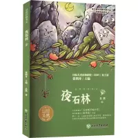 醉染图书夜石林9787572246463