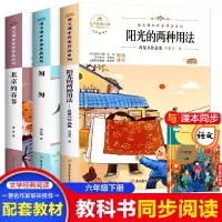 醉染图书课本作家六年级下册3本9787558553158