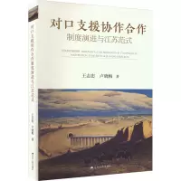 醉染图书对口支援协作合作制度演进与江苏范式9787214281159