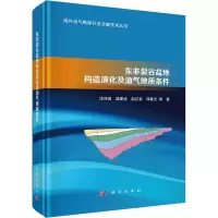 醉染图书东非裂谷盆地构造演化及油气地质条件9787030751867