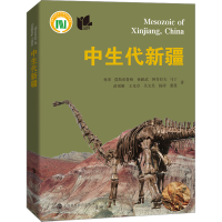 醉染图书中生代新疆9787542878496