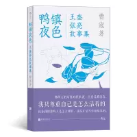 醉染图书鸭镇夜色:王奎张亮故事集9787559657343