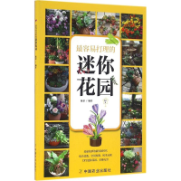 醉染图书打理的迷你花园9787109205475