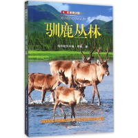 醉染图书驯鹿丛林9787551414043