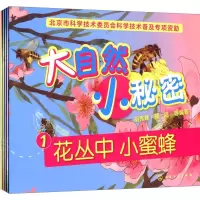 醉染图书大自然 小秘密9787122265470