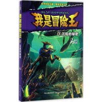 醉染图书沉船的秘密9787537698078