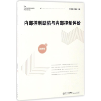 醉染图书内部控制缺陷与内部控制评价9787561562185
