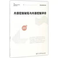 醉染图书内部控制缺陷与内部控制评价9787561562185