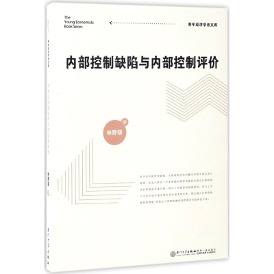醉染图书内部控制缺陷与内部控制评价9787561562185