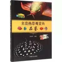 醉染图书名贵热带观赏鱼品鉴97871092174