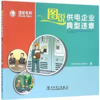 醉染图书图说供电企业典型违章9787511130