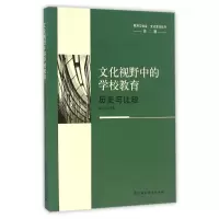 醉染图书文化视野中的学校教育/历史与比较9787516191460