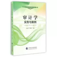 醉染图书实务与案例/孟宪胜/审计学9787509567357
