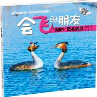 醉染图书"浪里白"凤头鸊鷉9787537665681