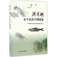 醉染图书洪泽湖水生经济生物图鉴9787109224285